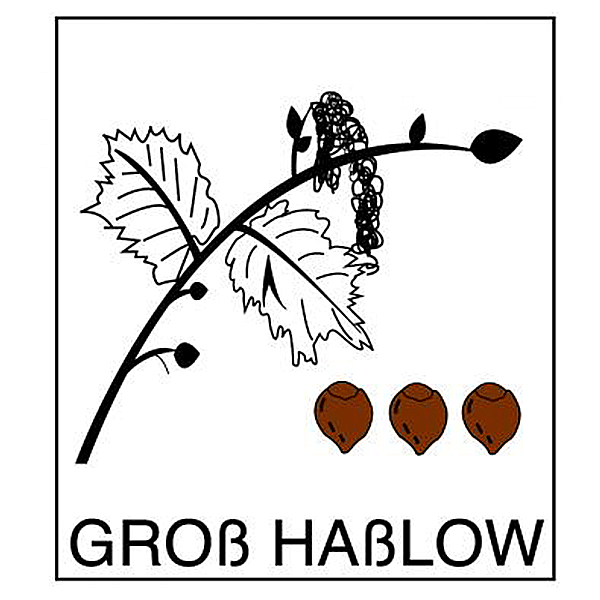 Groß Haßlower SV 